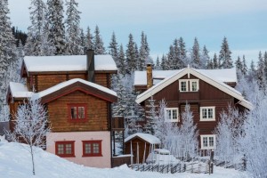 winter heating